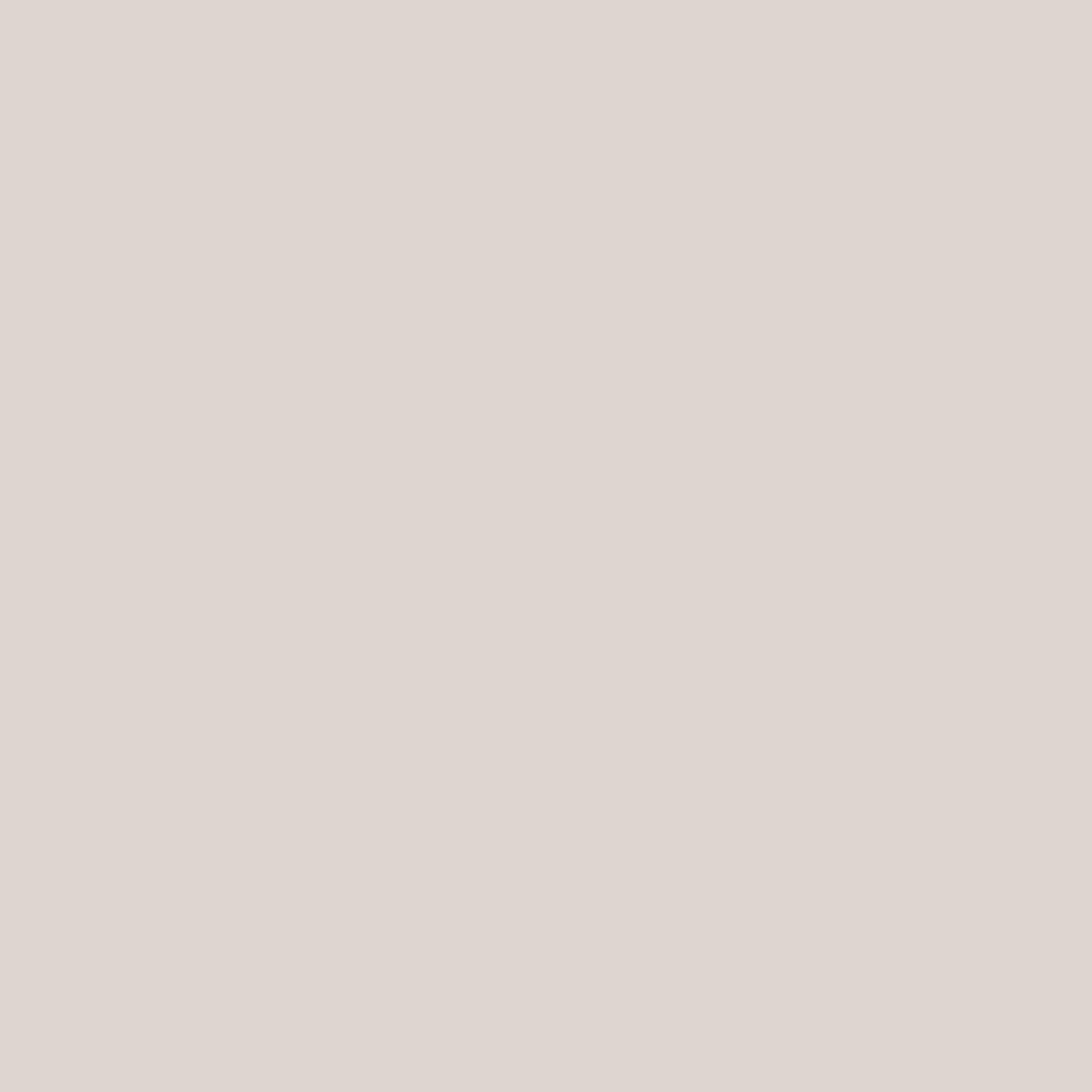 Warm Grey Pale RV-331