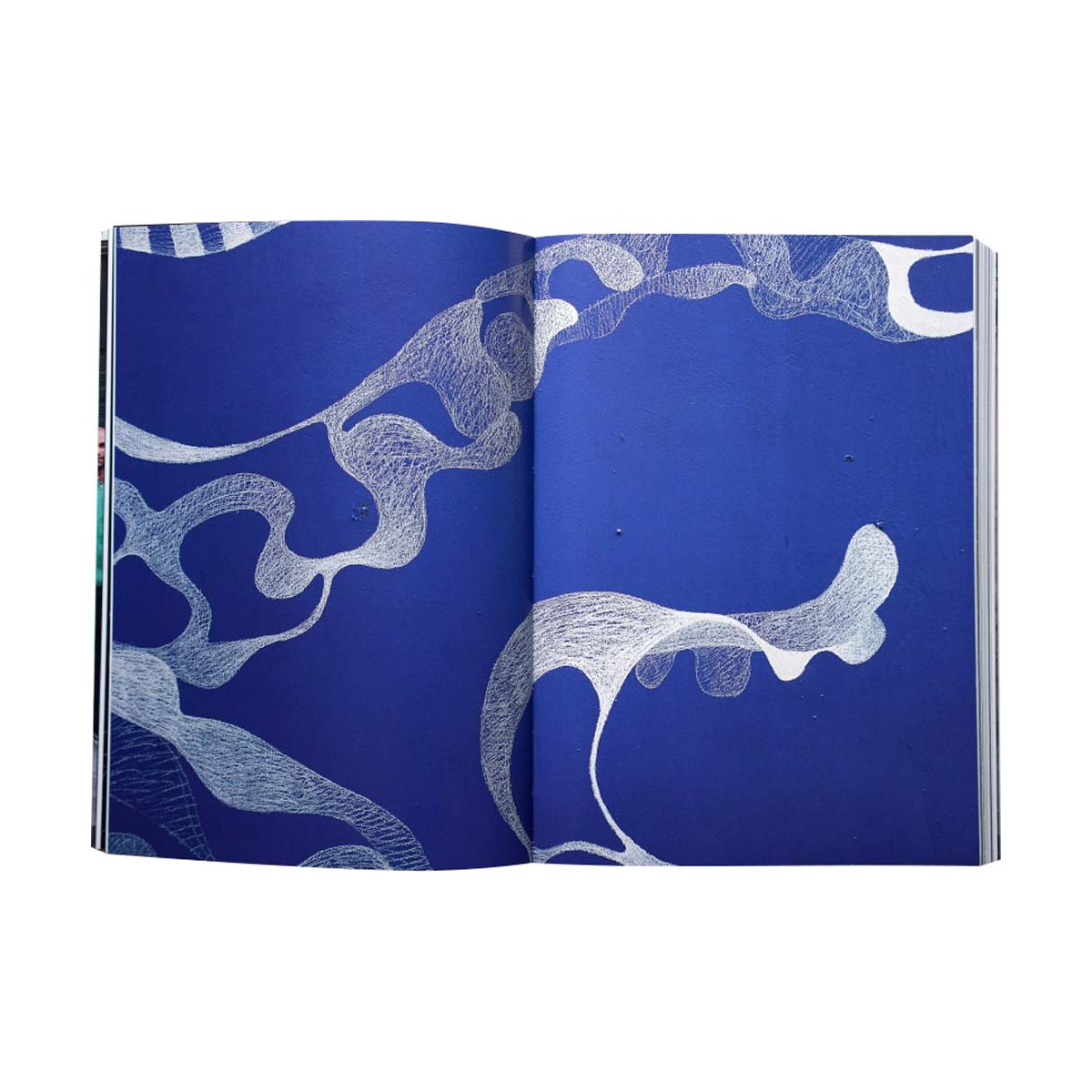 Buch "25 - Philippe Baudelocque"