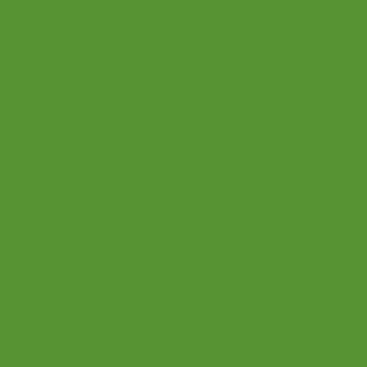 Brilliant Yellow Green Deep RV-334