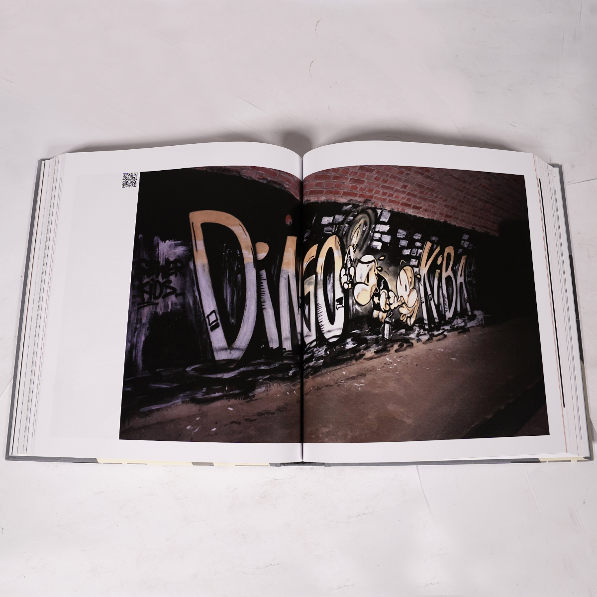 Buch "down here we are equal" by Dingo Babusch