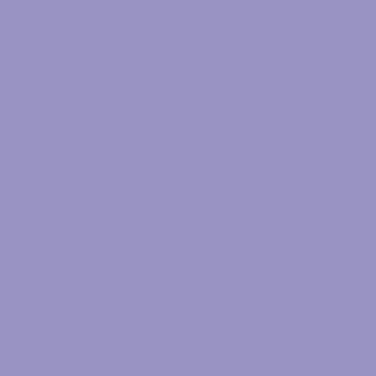 Violet RV-214