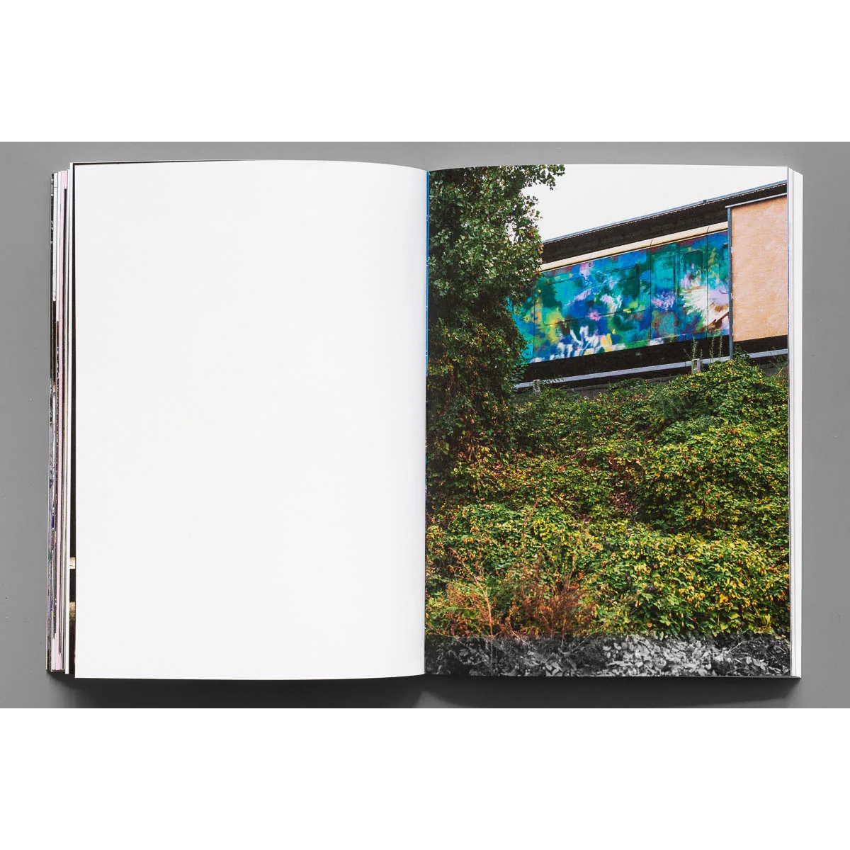 Buch "Bus126 - Let´s Disappear! (2nd Edition)"