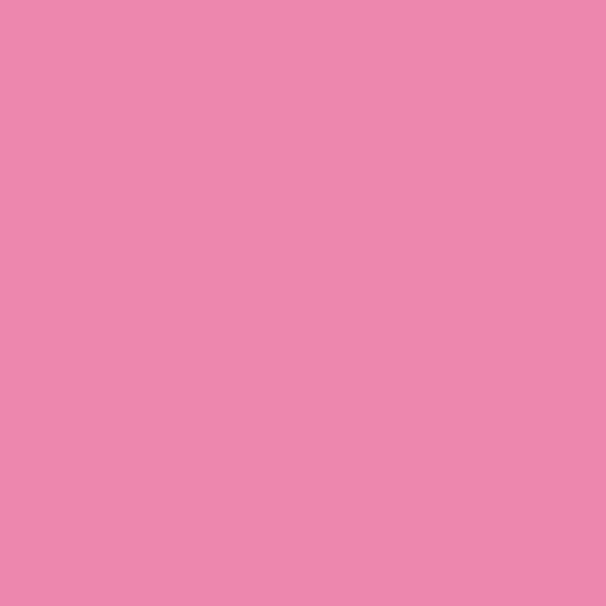 Love Pink RV-211