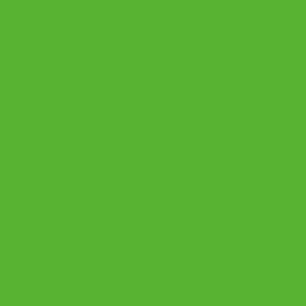Acid Green D-081