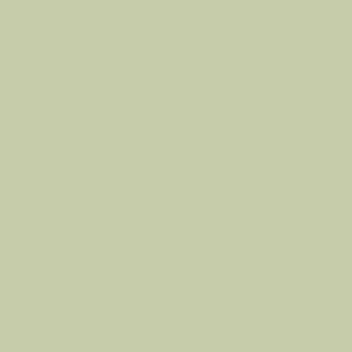 Grey Green Pale RV-344