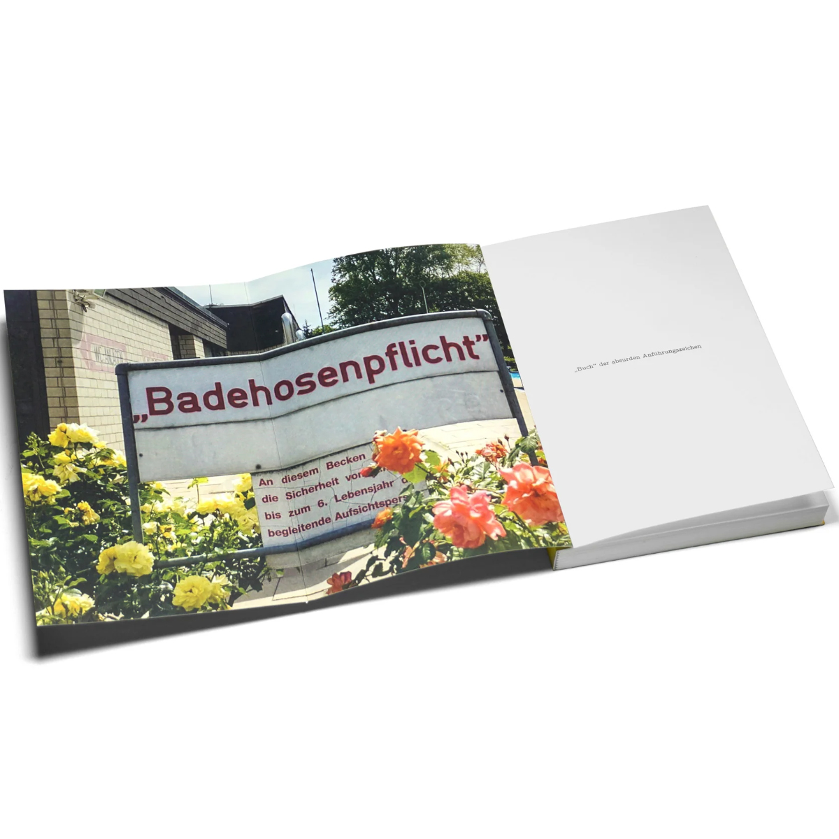 Buch "Das Buch der absurden Anführungszeichen" (Softcover)