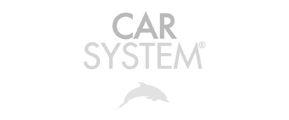 Car System