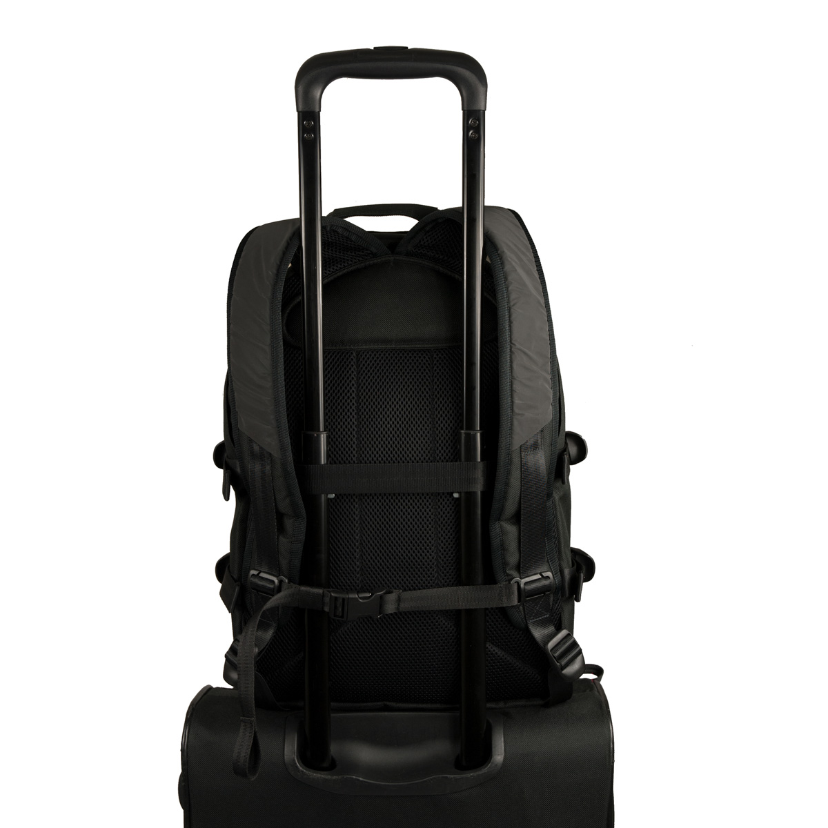 Freibeutler_ruecken3EkYuy26l1DWJ