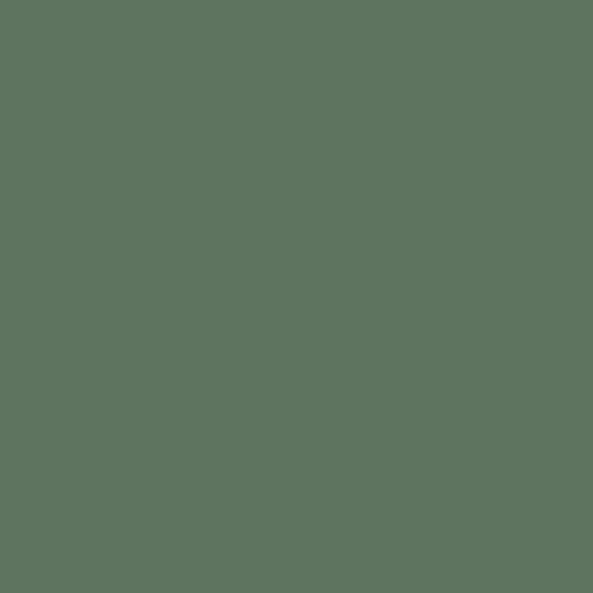 Grayish Green Deep G241