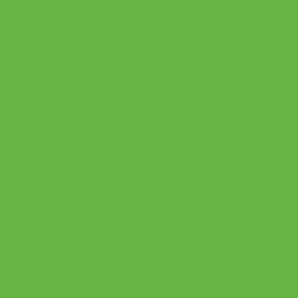 Brilliant Light Green RV-34