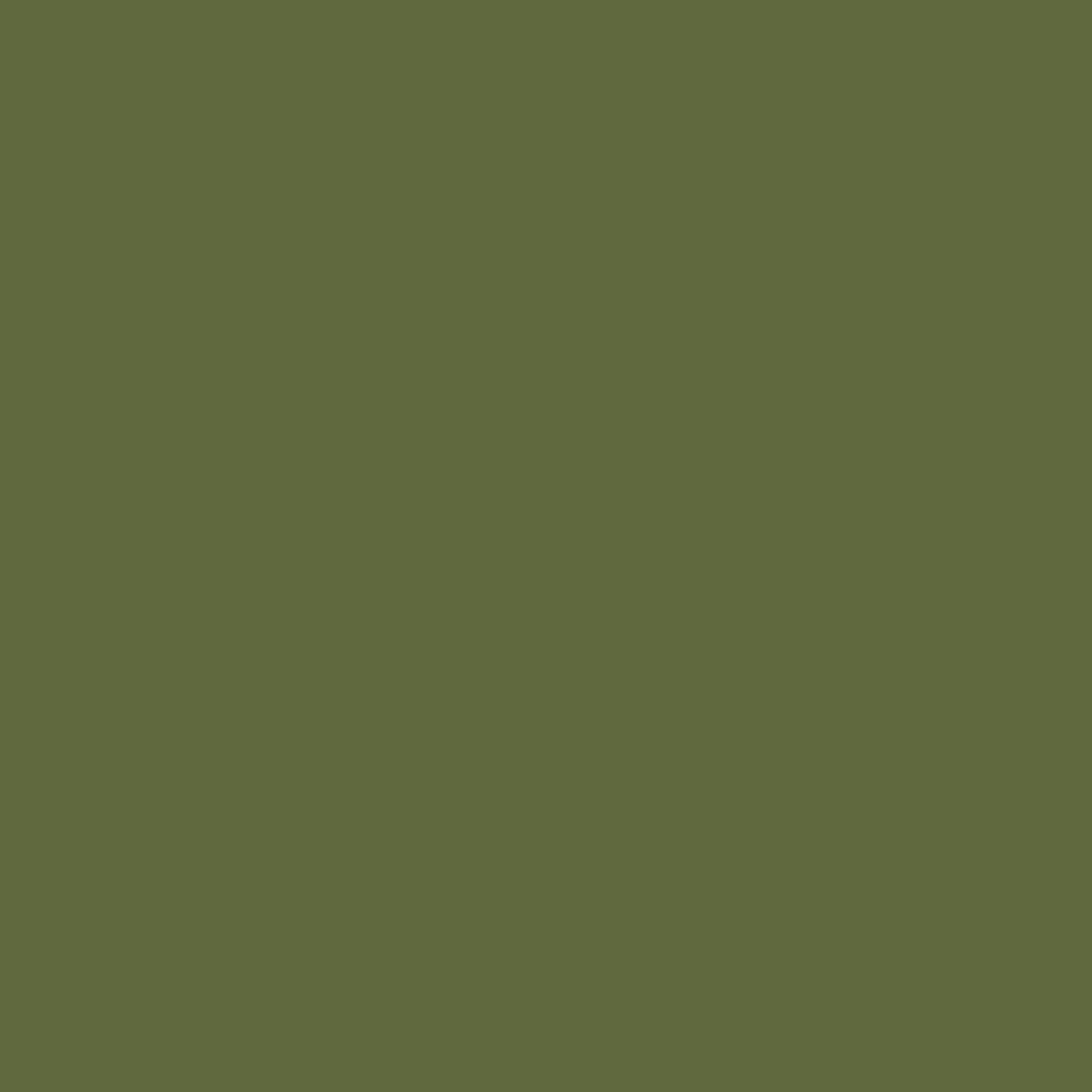 Forest Green RV-251