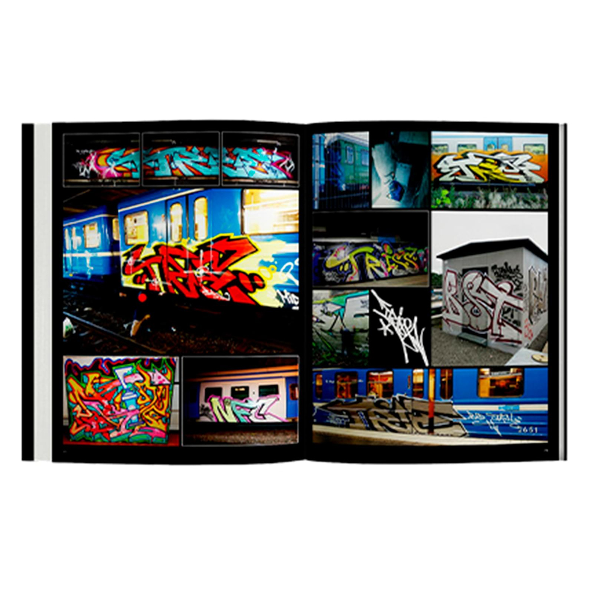 Buch "Triss - Bad Style Teacher"