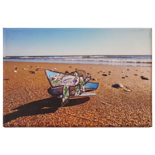 "Tik - Muschel (Original Fotoprint)" 20x30cm