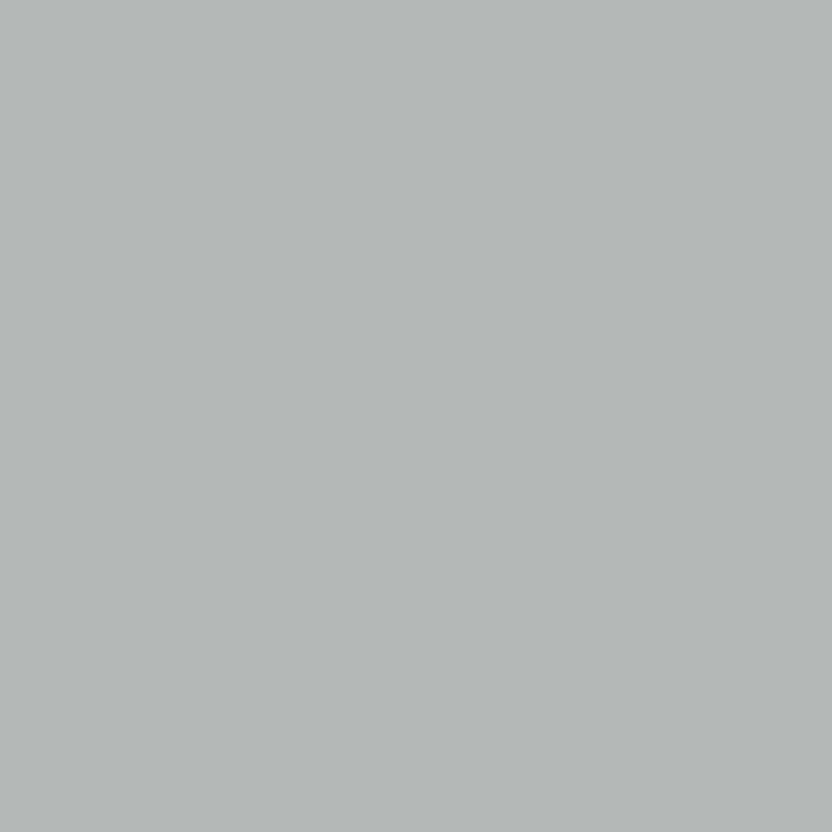 Neutral Grey WB-7538