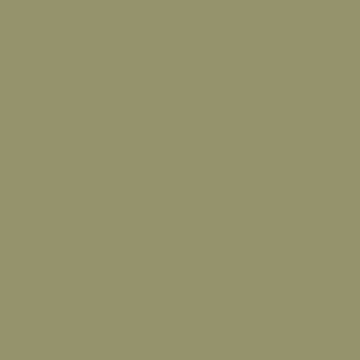 Grey Green RV-179