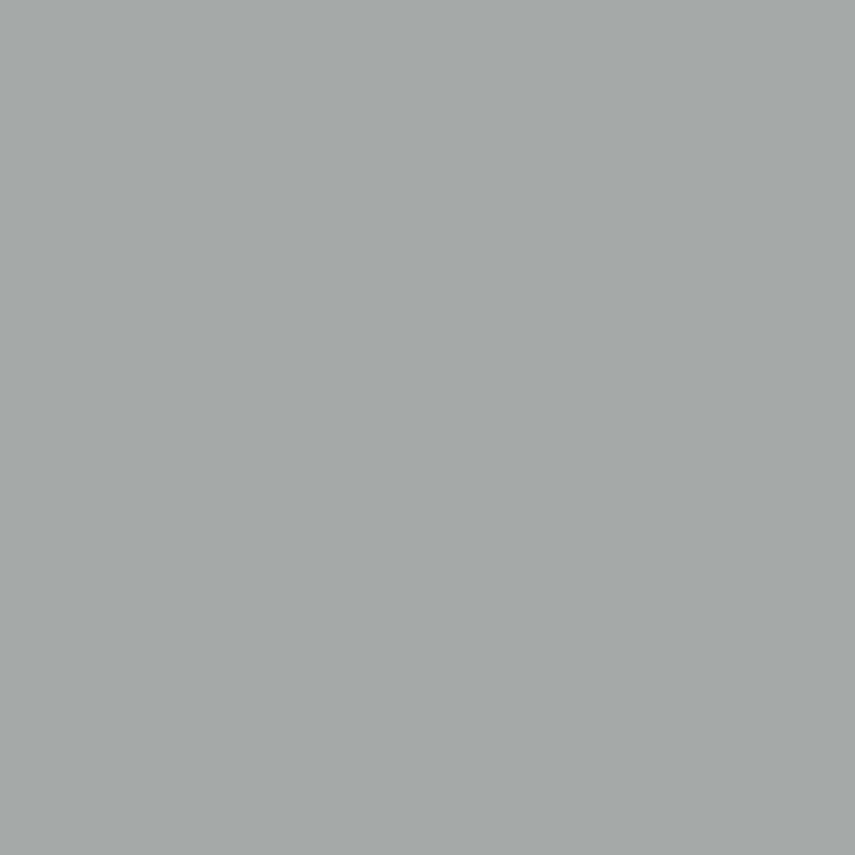 Neutral Grey RV-7040