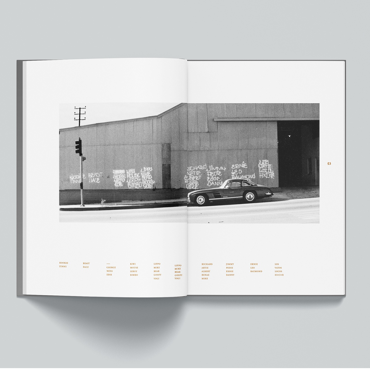 Buch "Cholo Writing - Latino Gang Graffiti in Los Angeles"