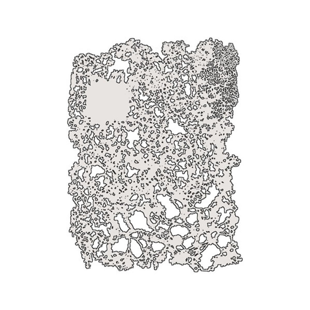 fx2