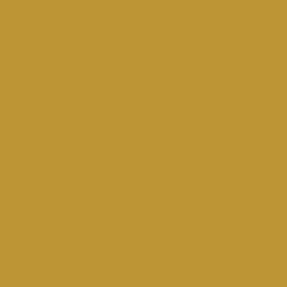 Assenzio LP2231