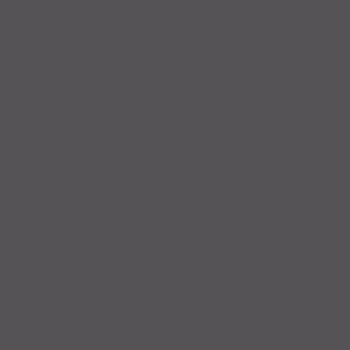 Neutral Grey Dark RV-7016
