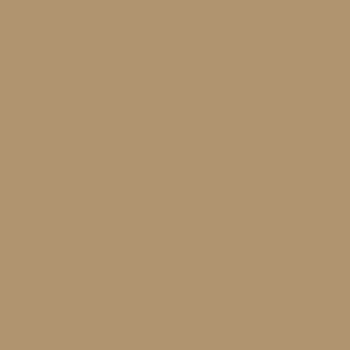 Raw Umber RV-137