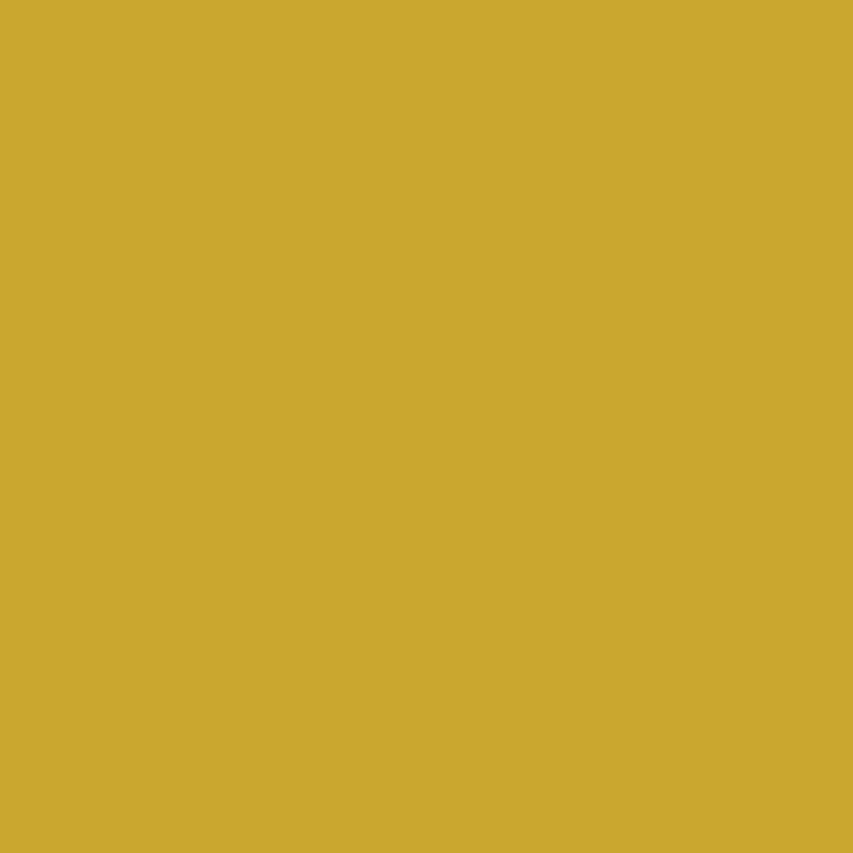 N111 Mustard Yellow