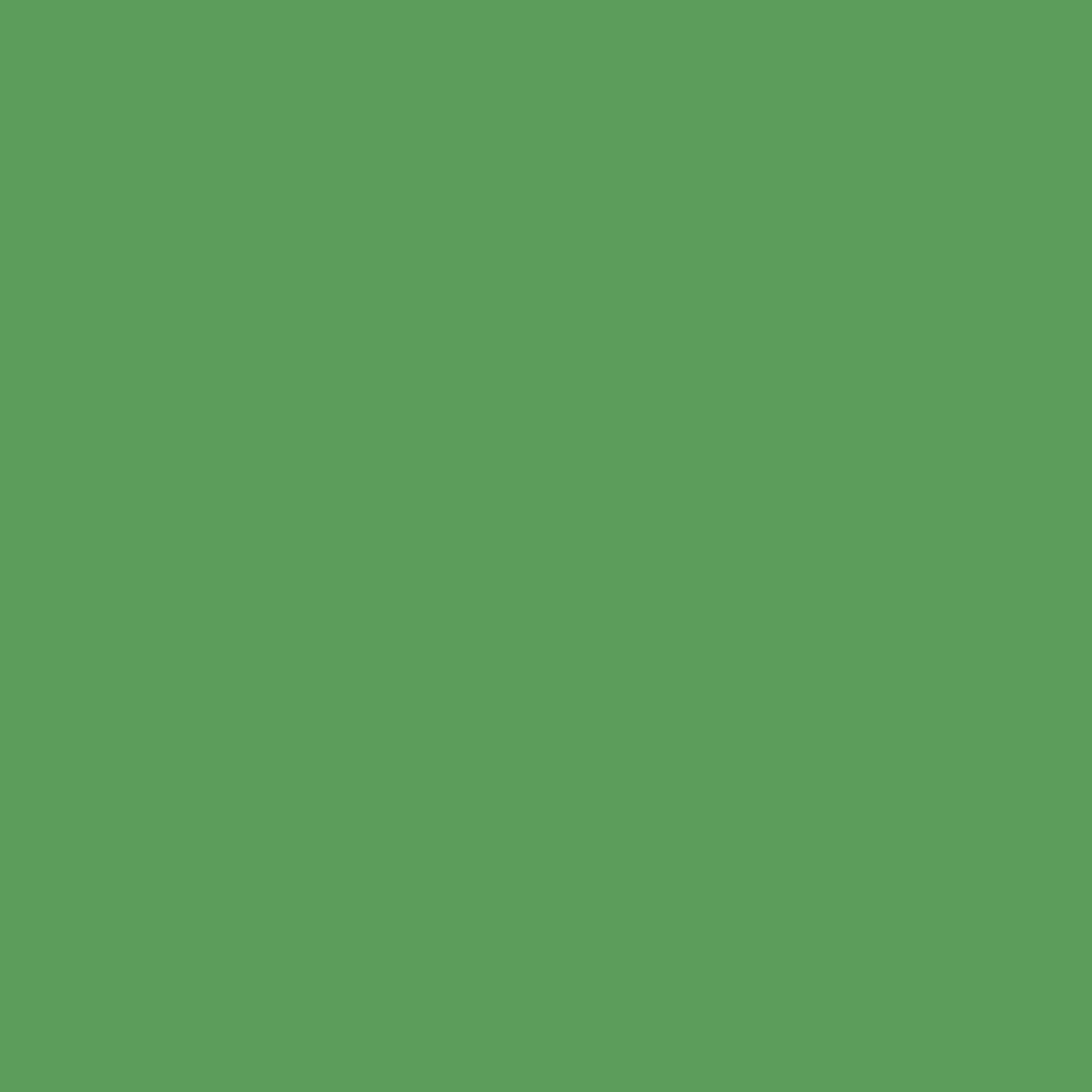 N23 Moss Green