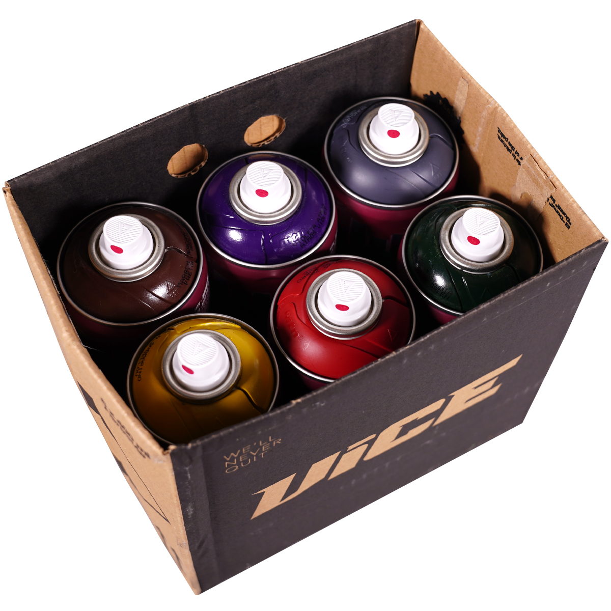 MTN "Vice" Sixpack Random Tones (6x400ml)