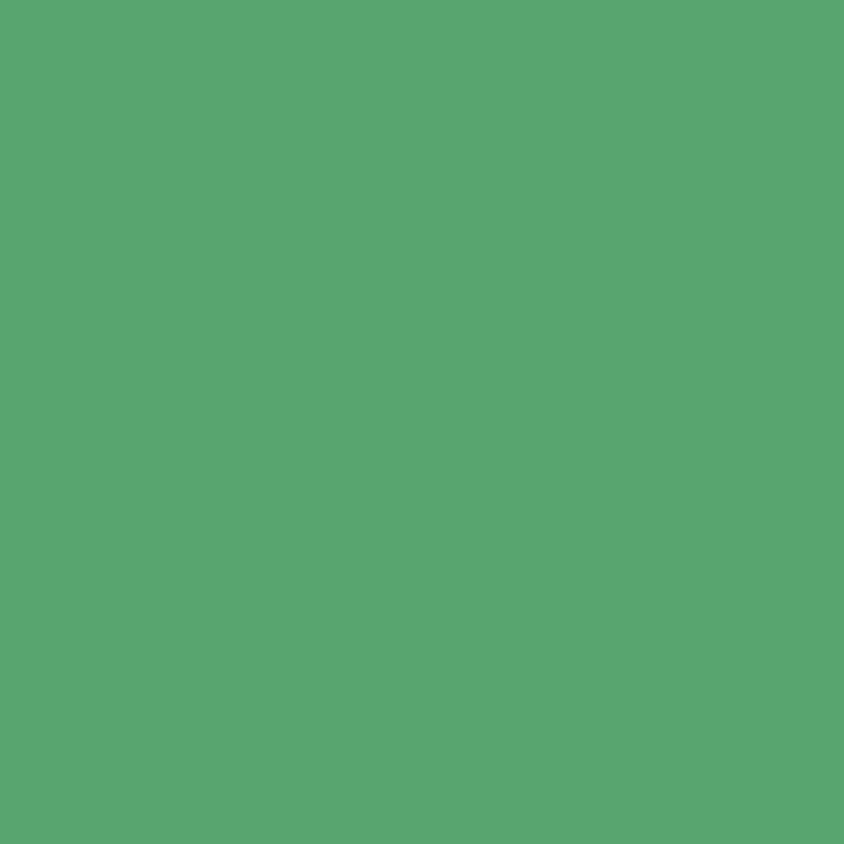 Big Menta 1020