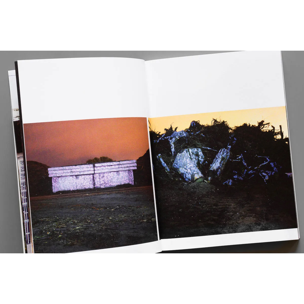 Buch "Bus126 - Let´s Disappear! (2nd Edition)"