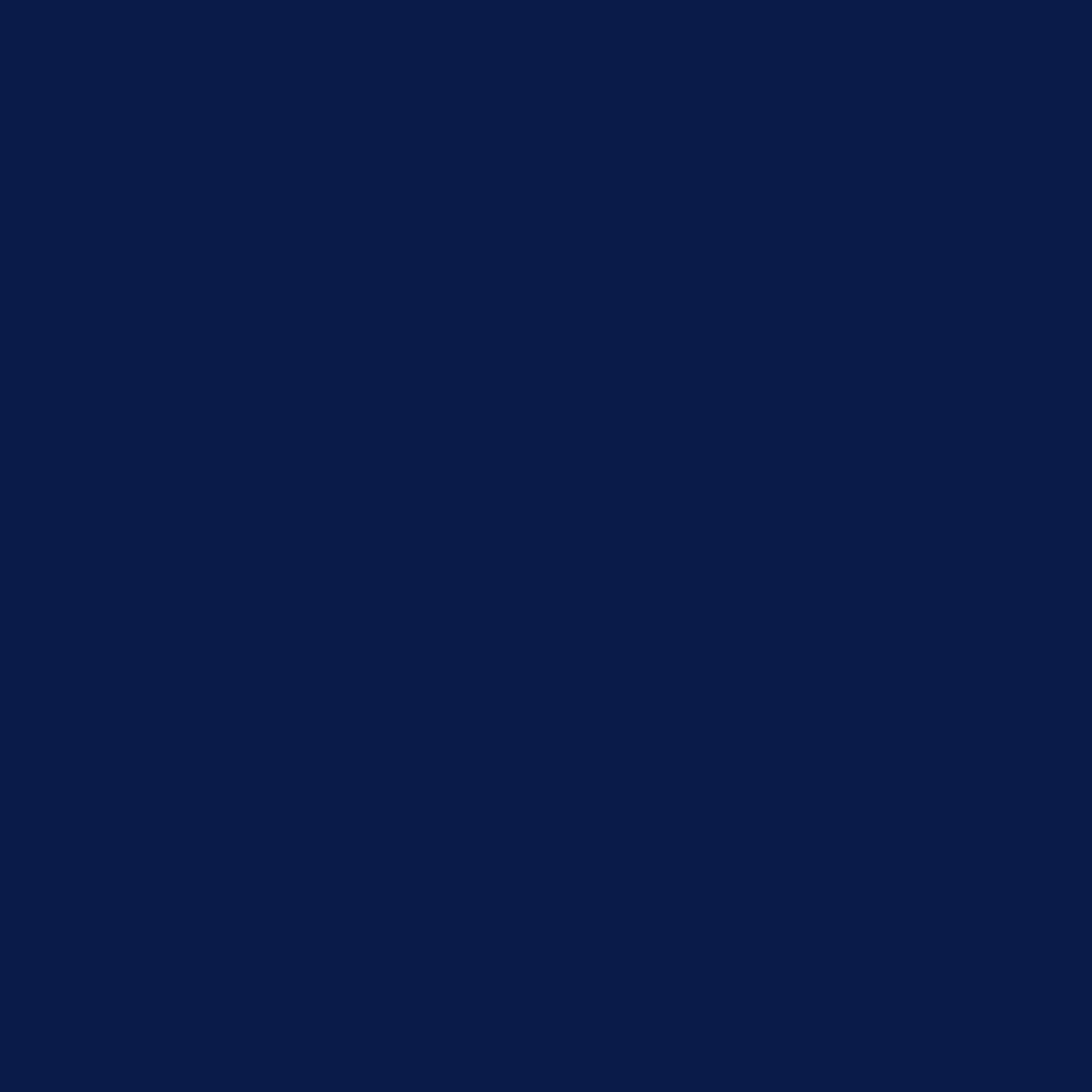 Blueberry LP741