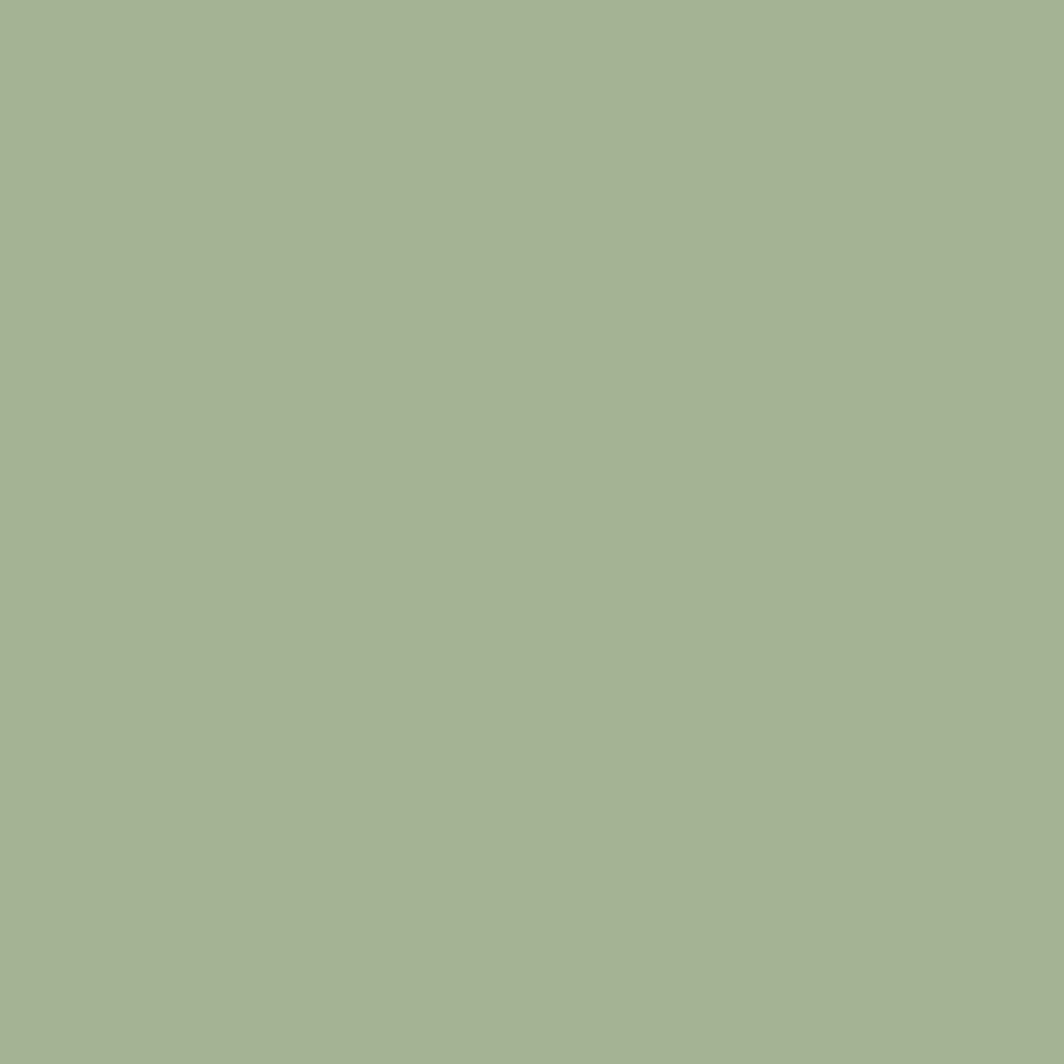 Grayish Olive Green GY233