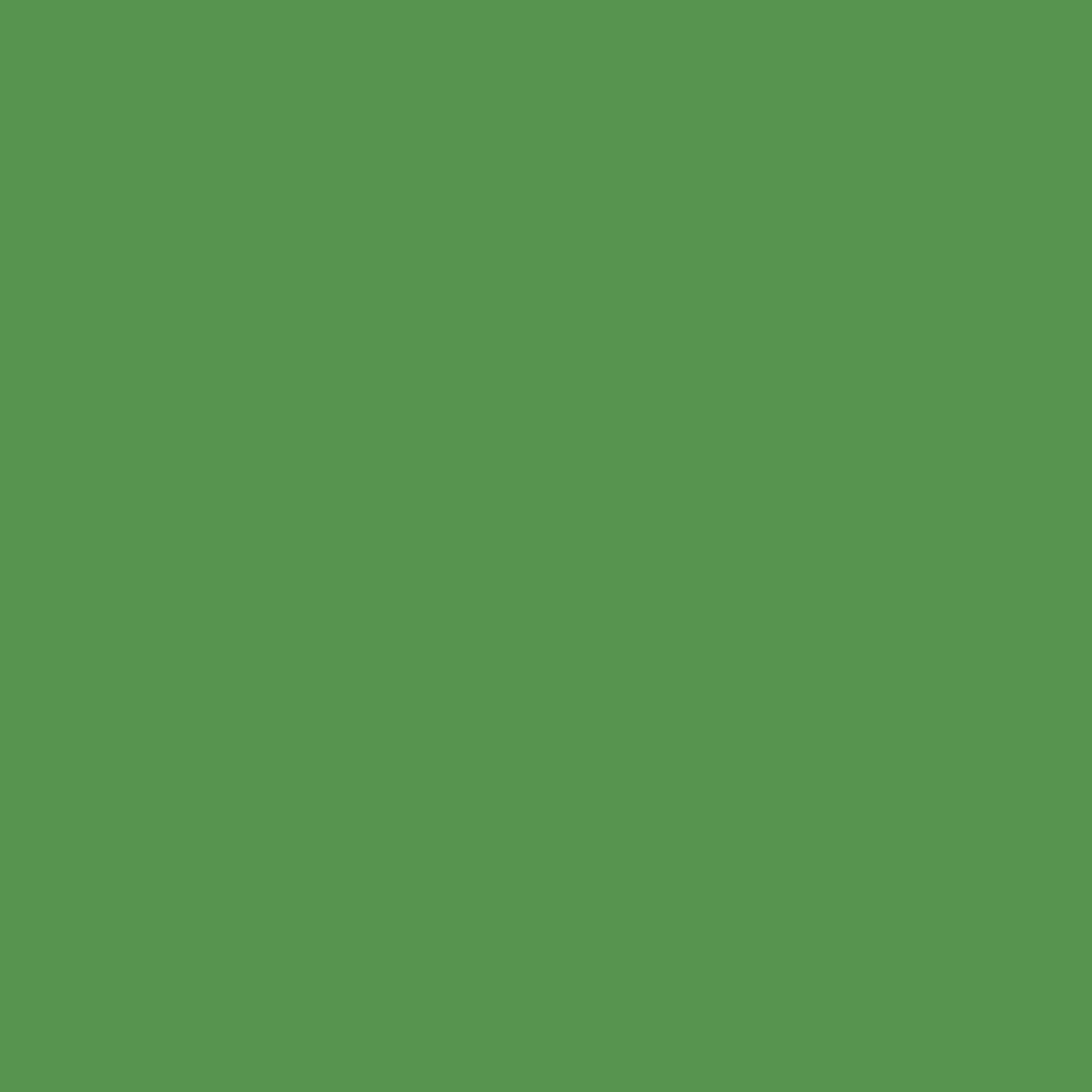 Brilliant Green RV-6018