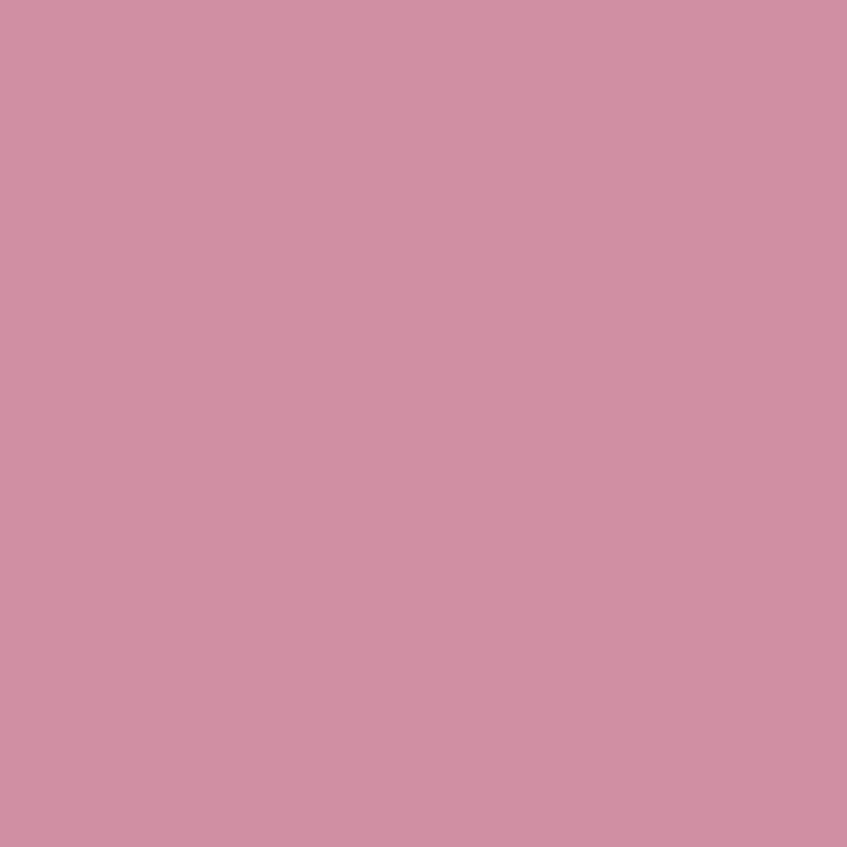 Face LP521