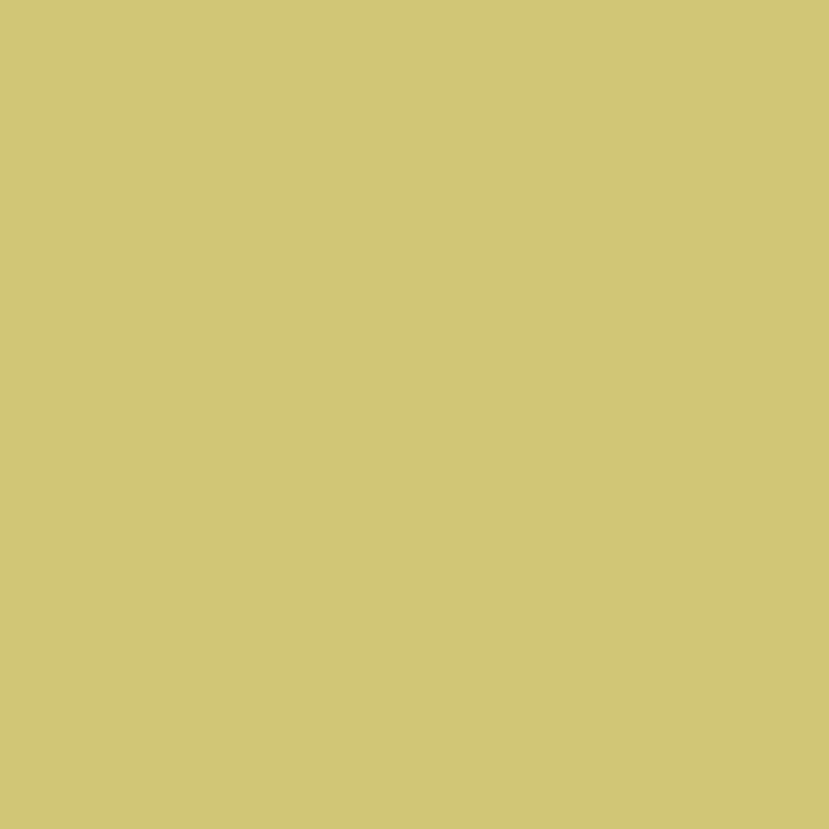 Spirit Green LP2201