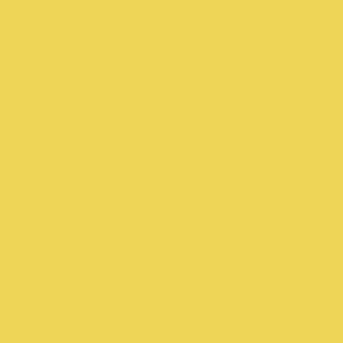 010 Lemon Yellow