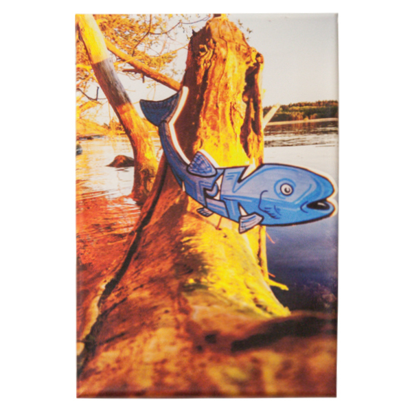 "Tik - Fisch (Original Fotoprint)" 20x30cm