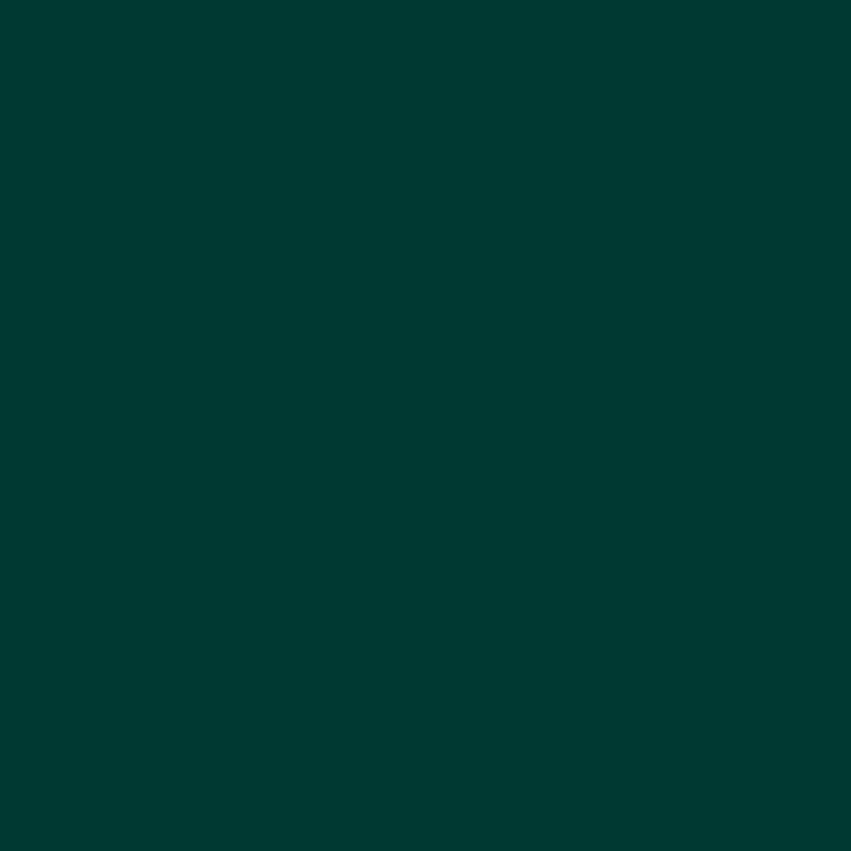 Amazon 66-7