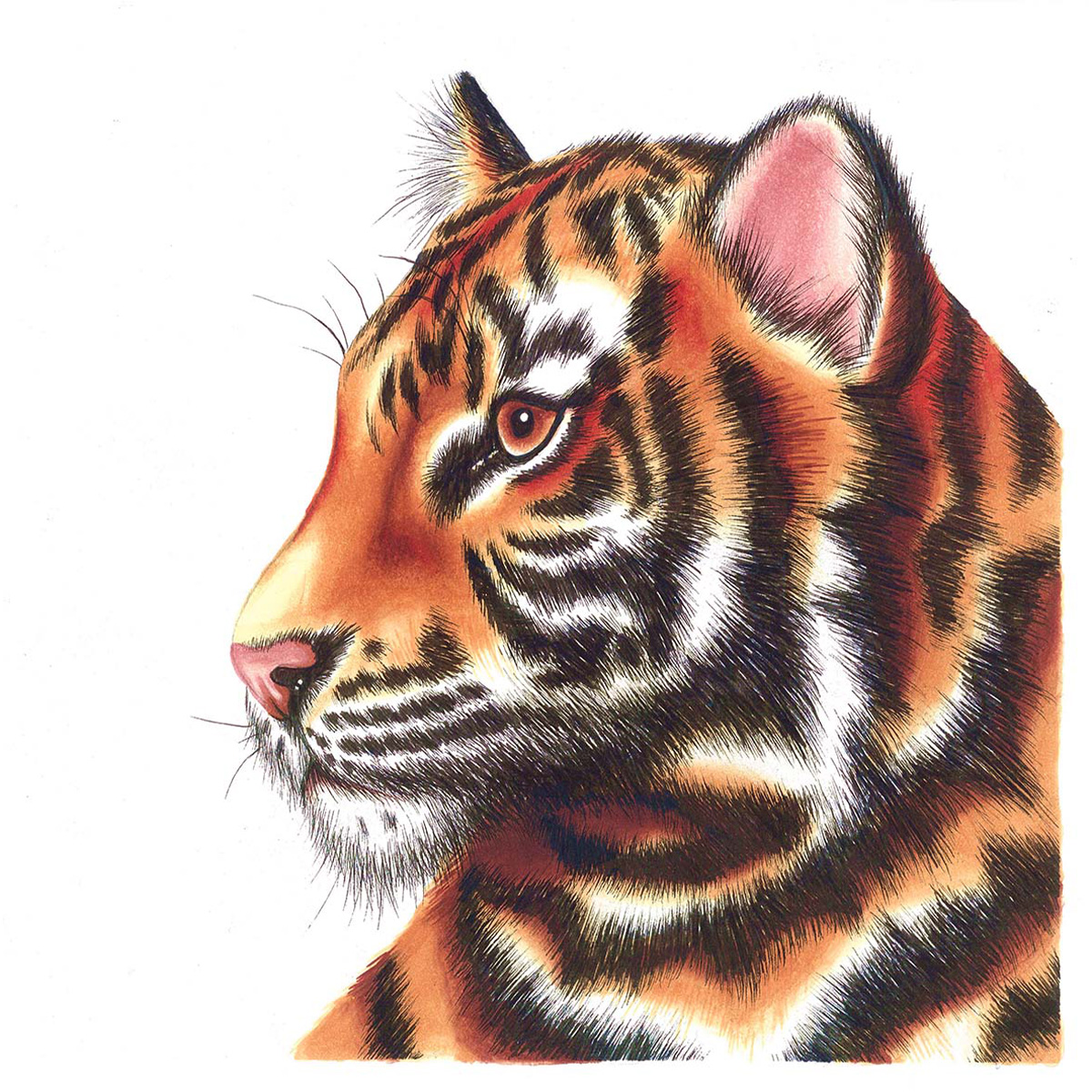 Chameleon "Color Blending System" #4