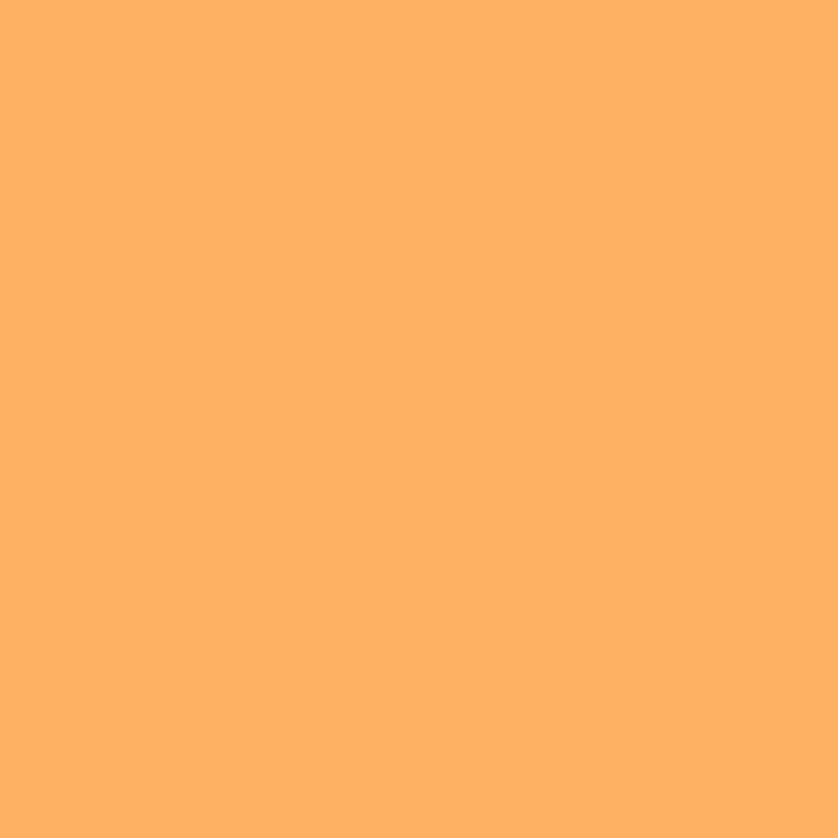 Apricot D-013