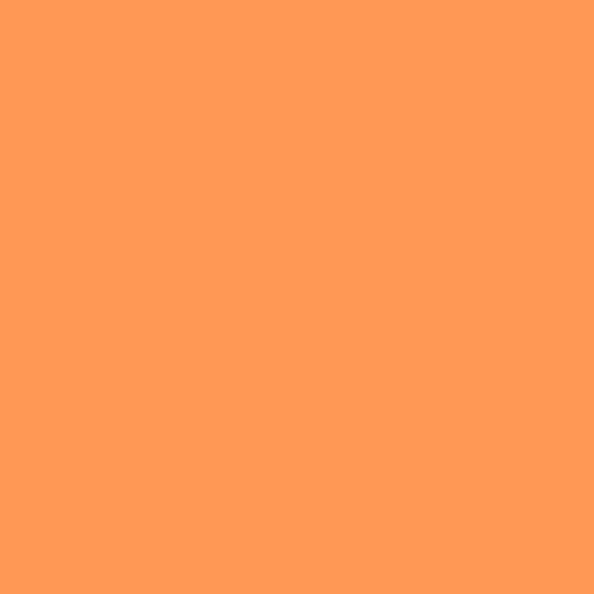 Azo Orange Light RV 105