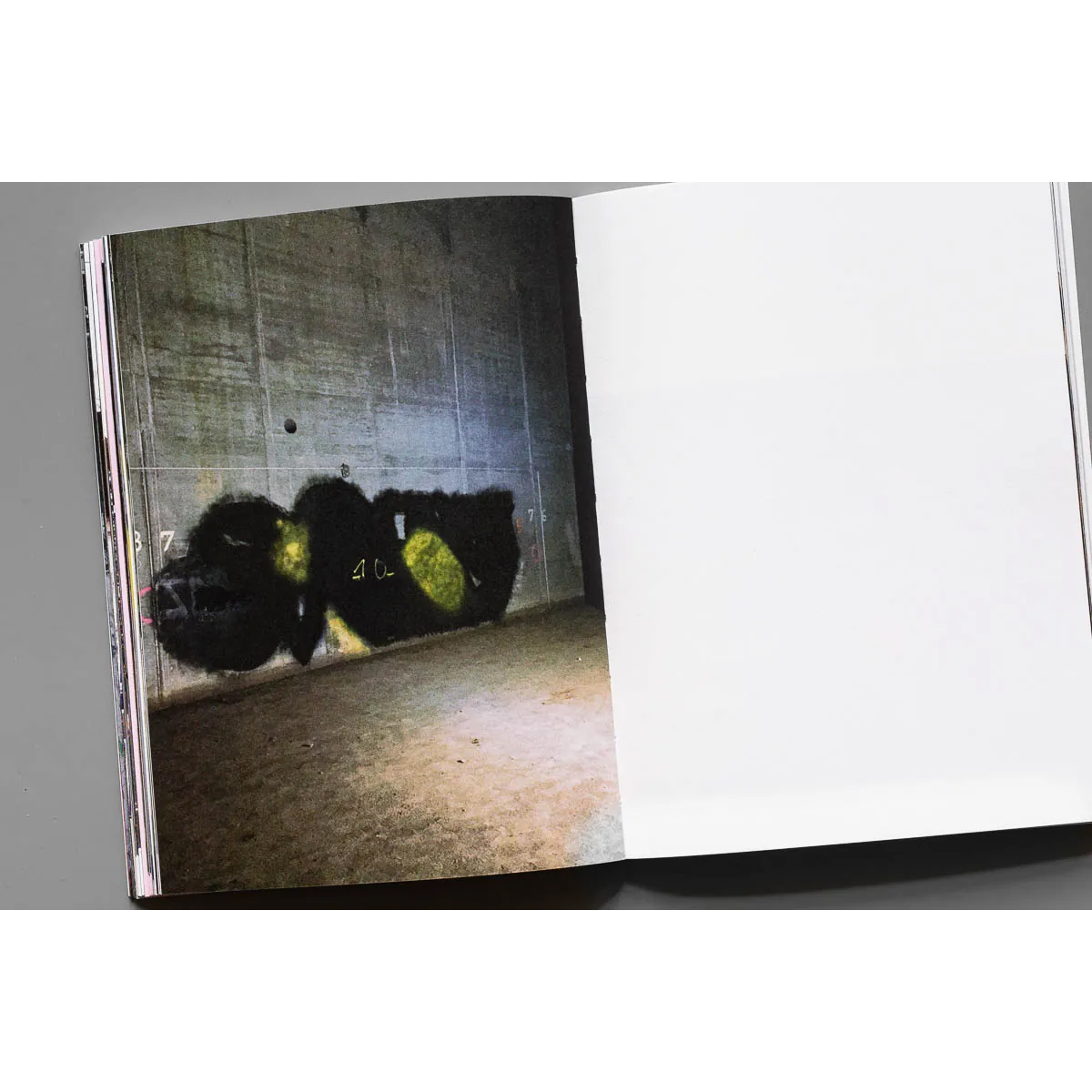 Buch "Bus126 - Let´s Disappear! (2nd Edition)"