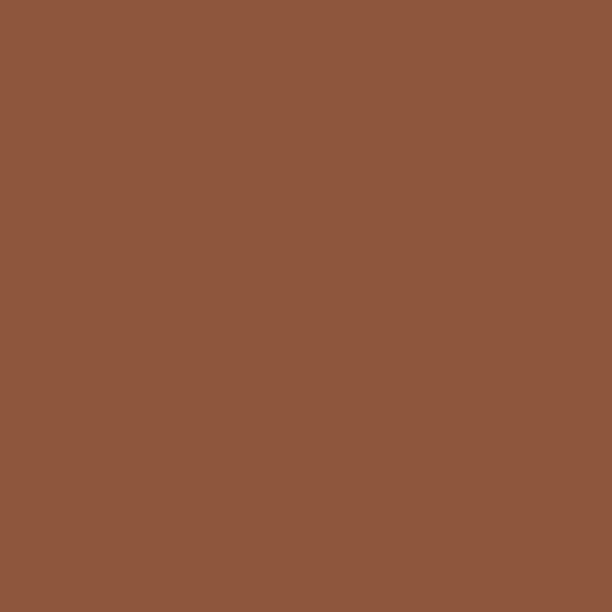 N73 Roof Brown