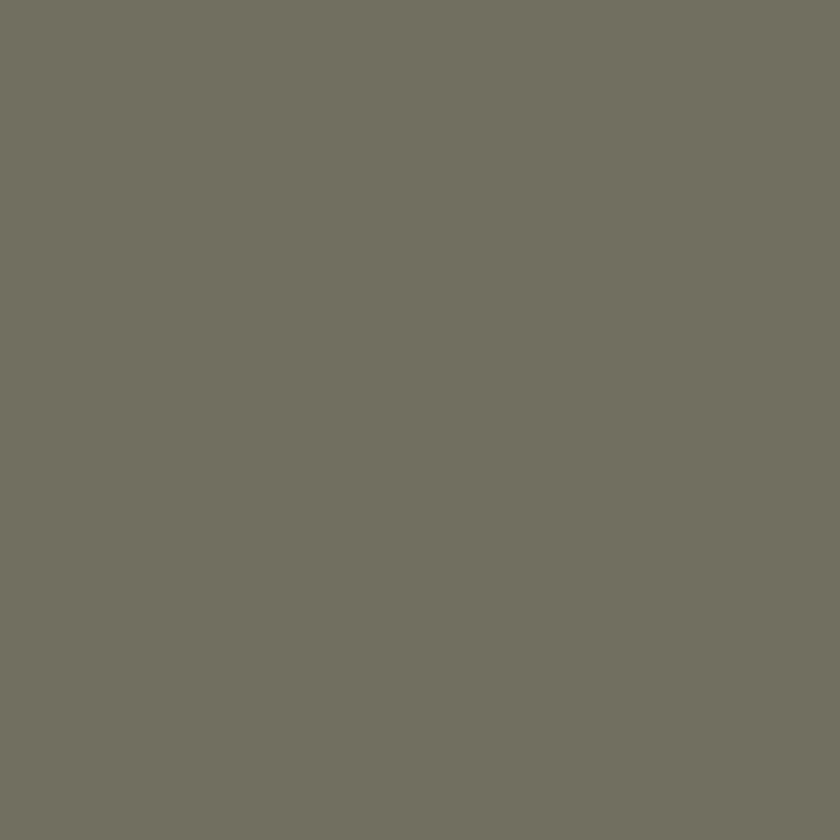 Pigeon 09-5