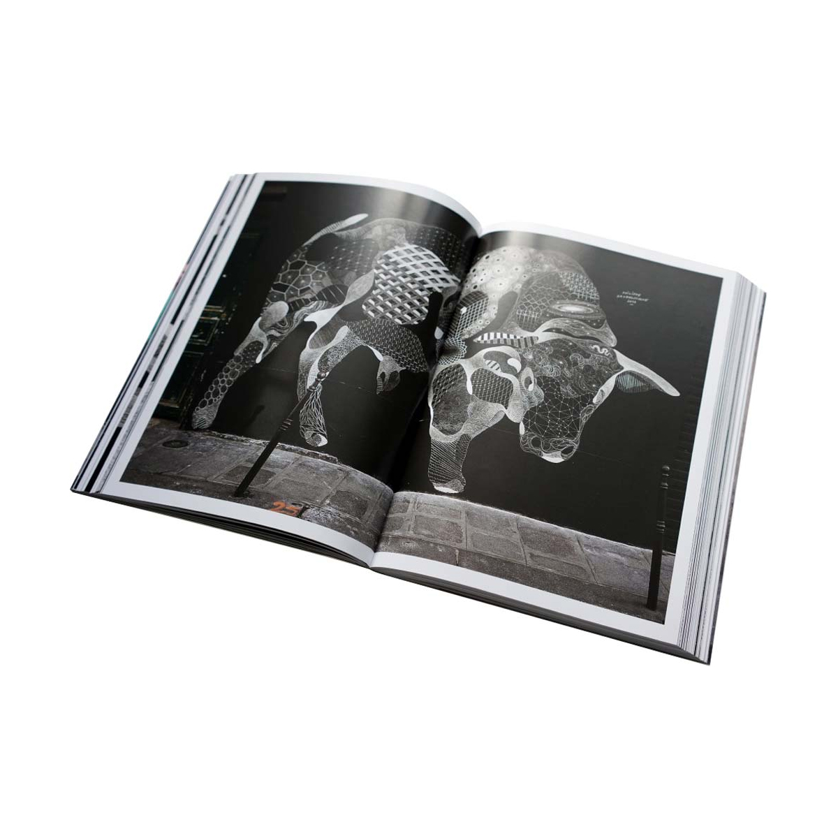 Buch "25 - Philippe Baudelocque"