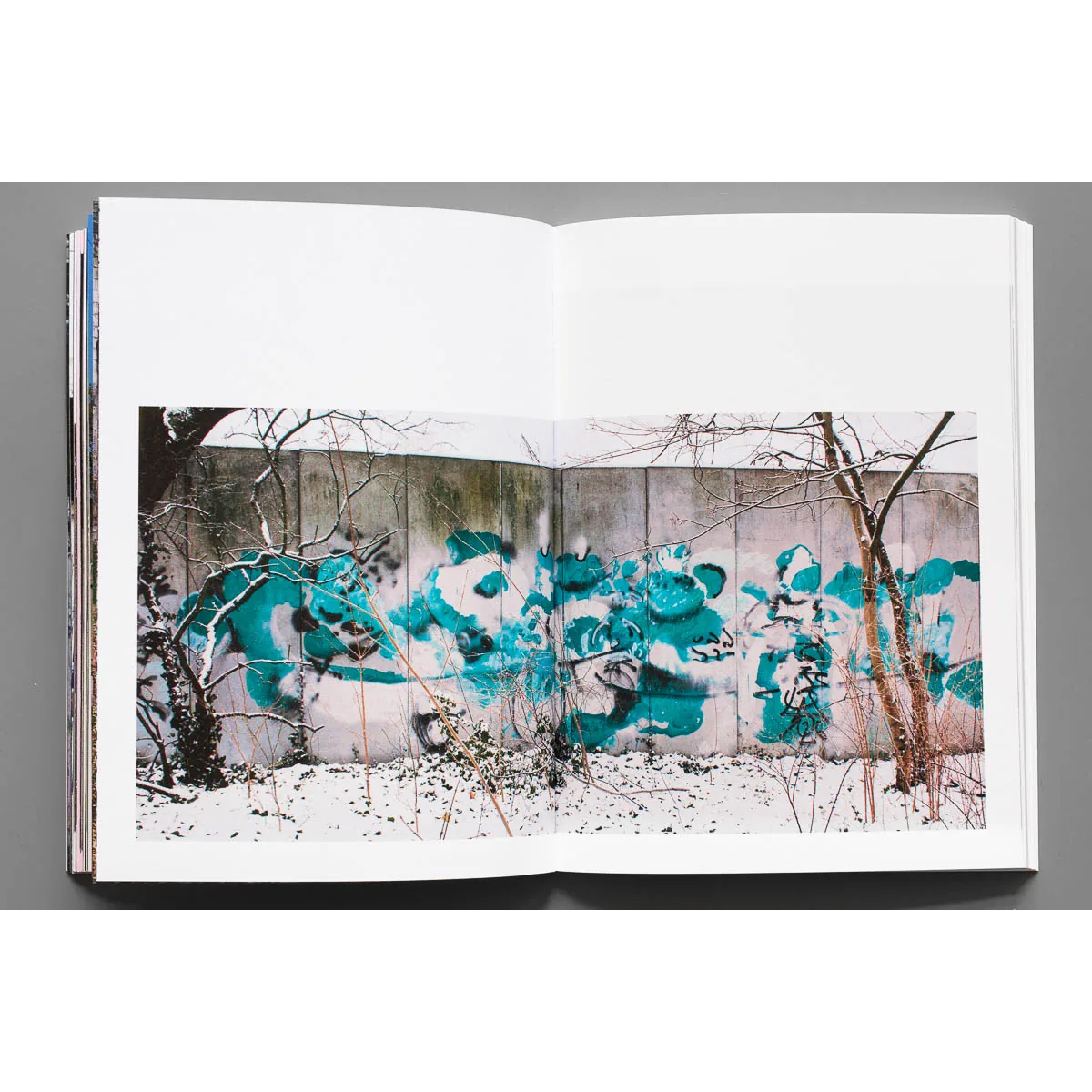 Buch "Bus126 - Let´s Disappear! (2nd Edition)"