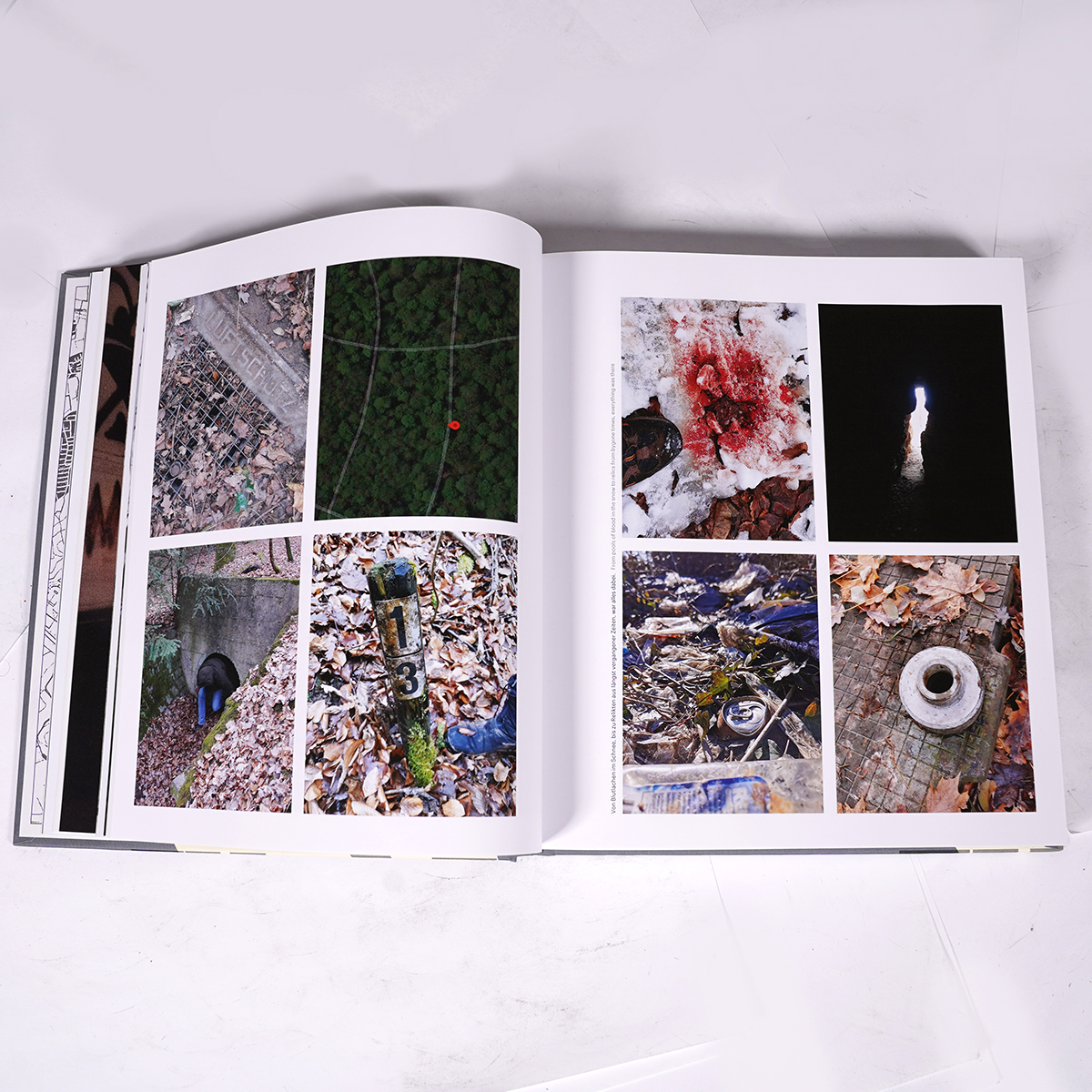 Buch "down here we are equal" by Dingo Babusch