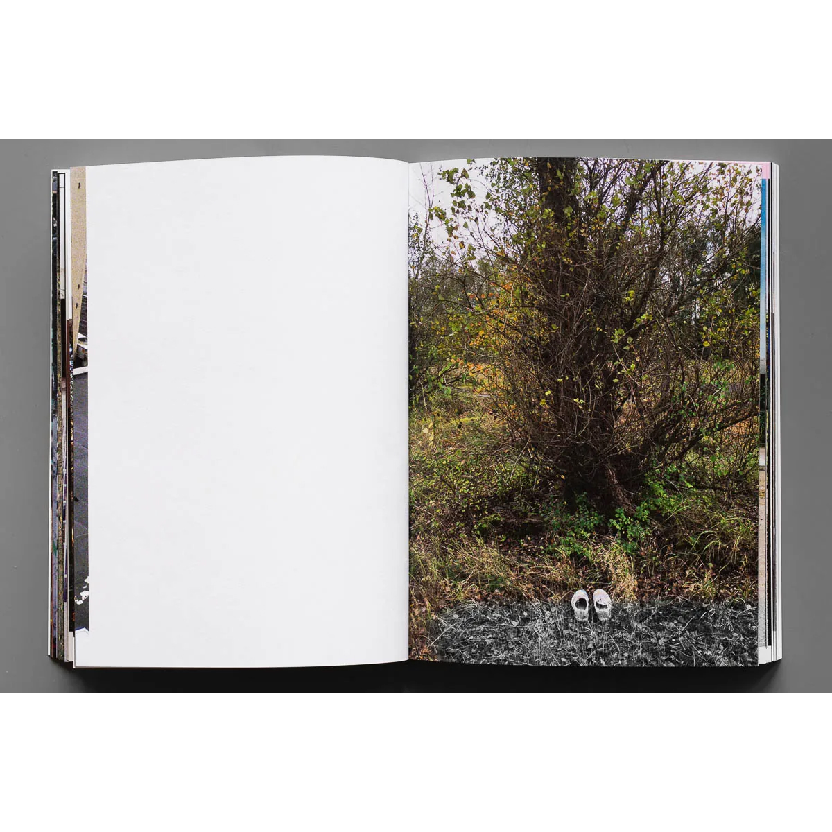 Buch "Bus126 - Let´s Disappear! (2nd Edition)"