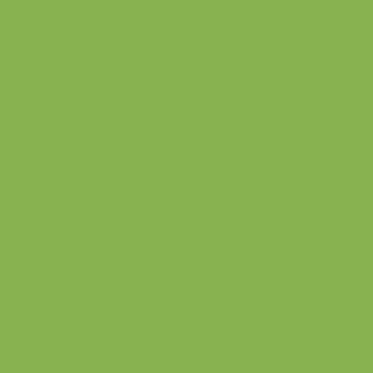 mtn-mega-colors-guacamole-green guacamole green