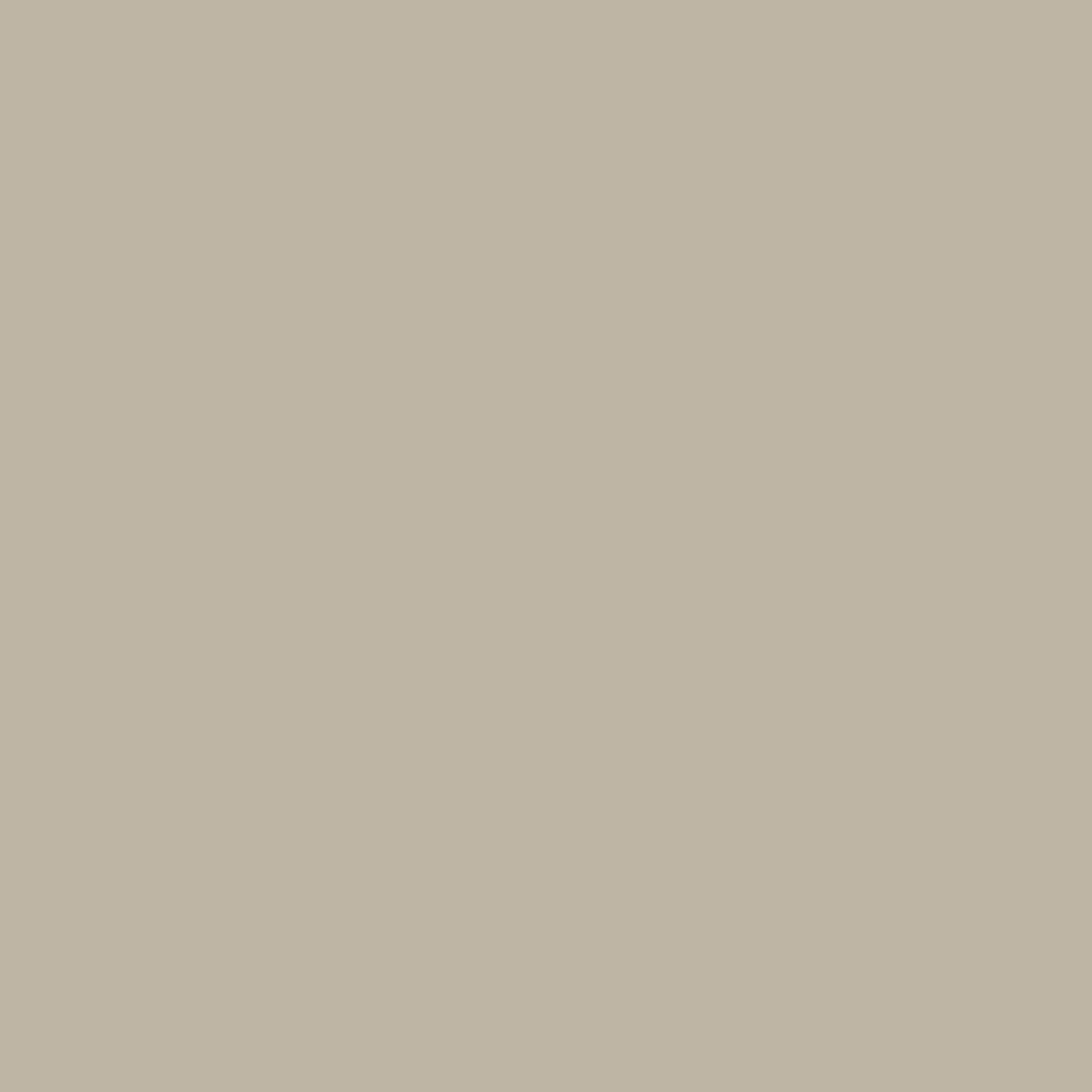 Warm Grey Medium RV-303